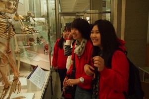 Reach Students at the Cambridge Museum of Zoology!