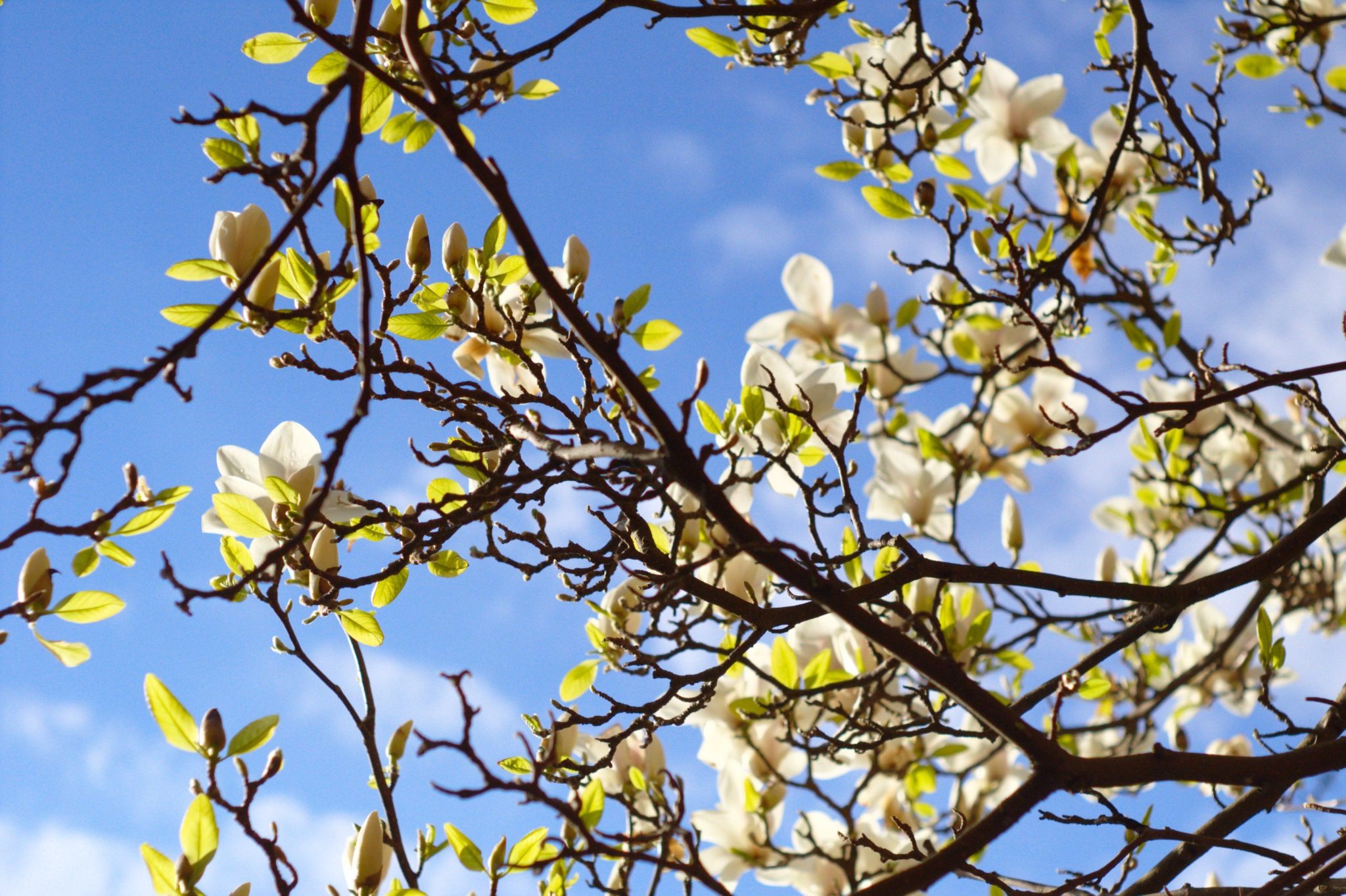 Spring time!