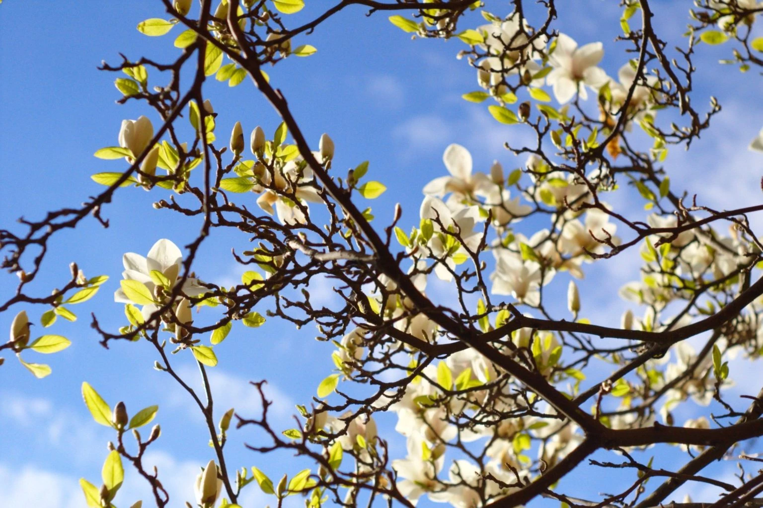 Spring time!